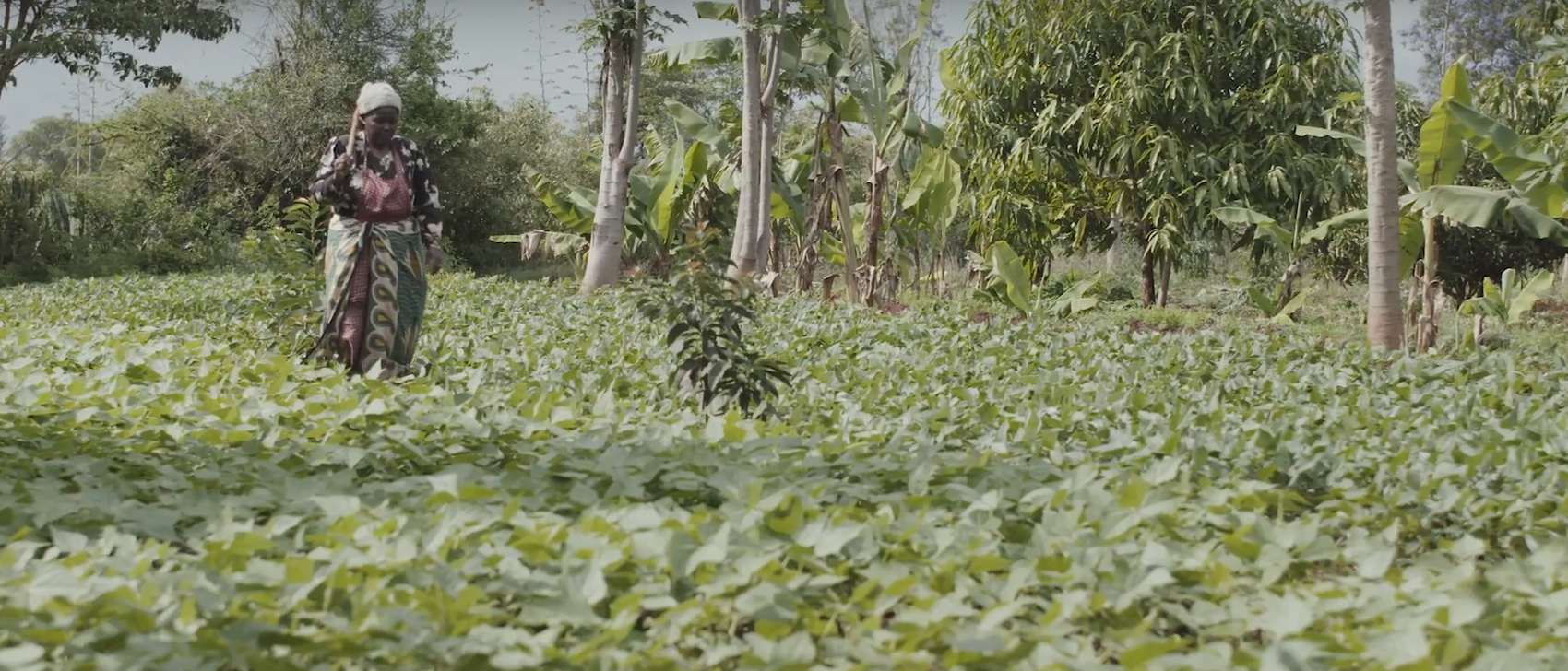 Farmer in her field