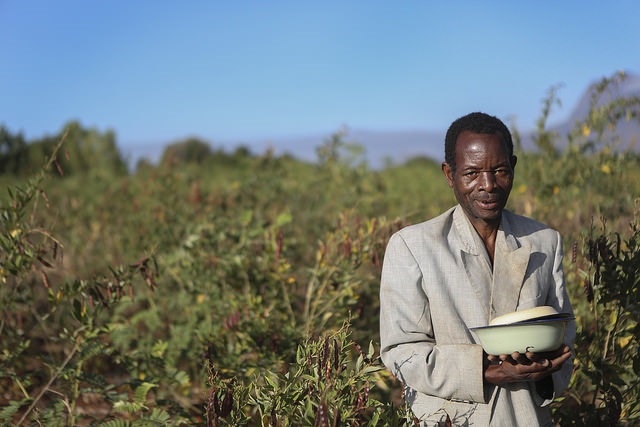 Chili pepper farmer, Malawi