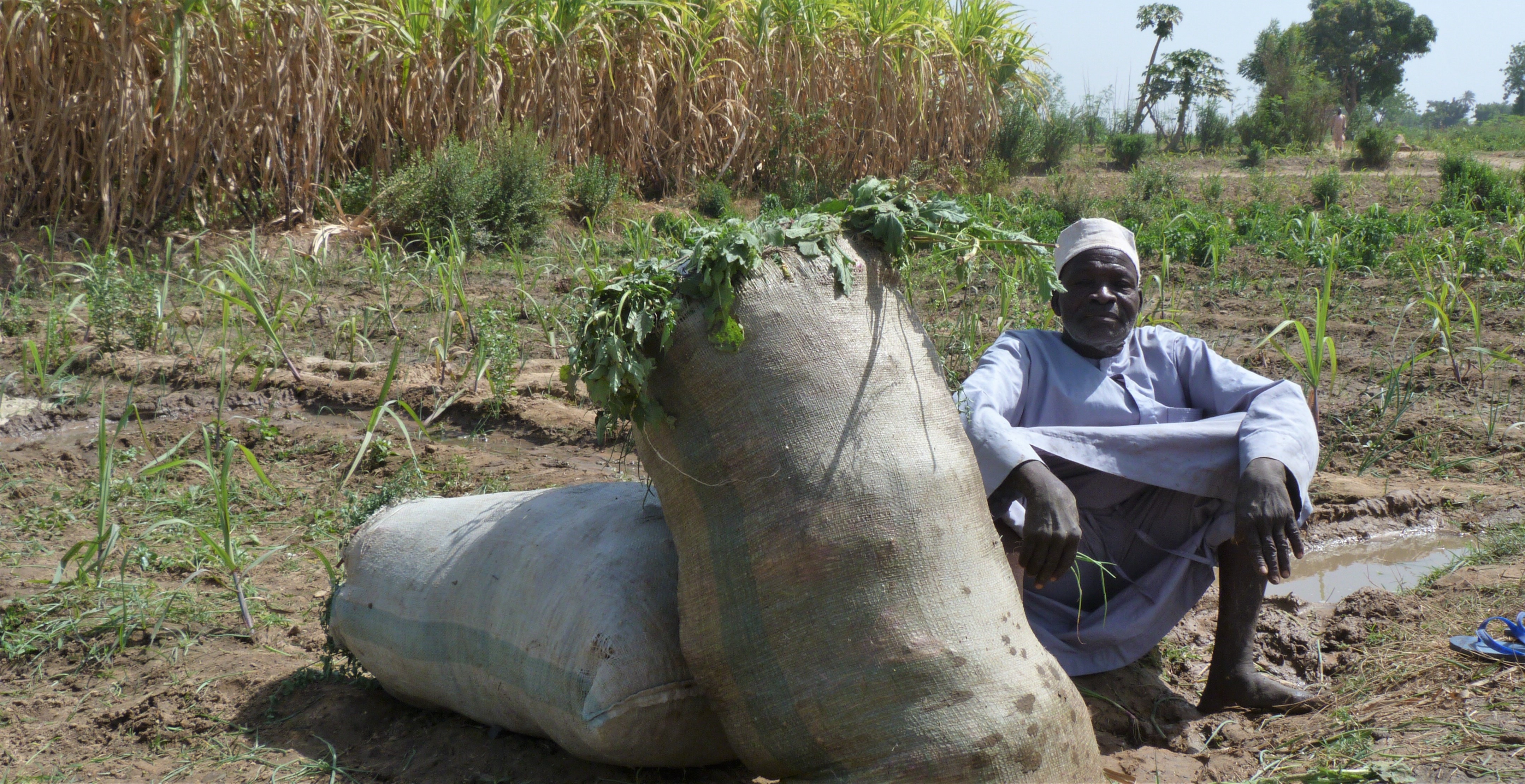 Nigerian farmer