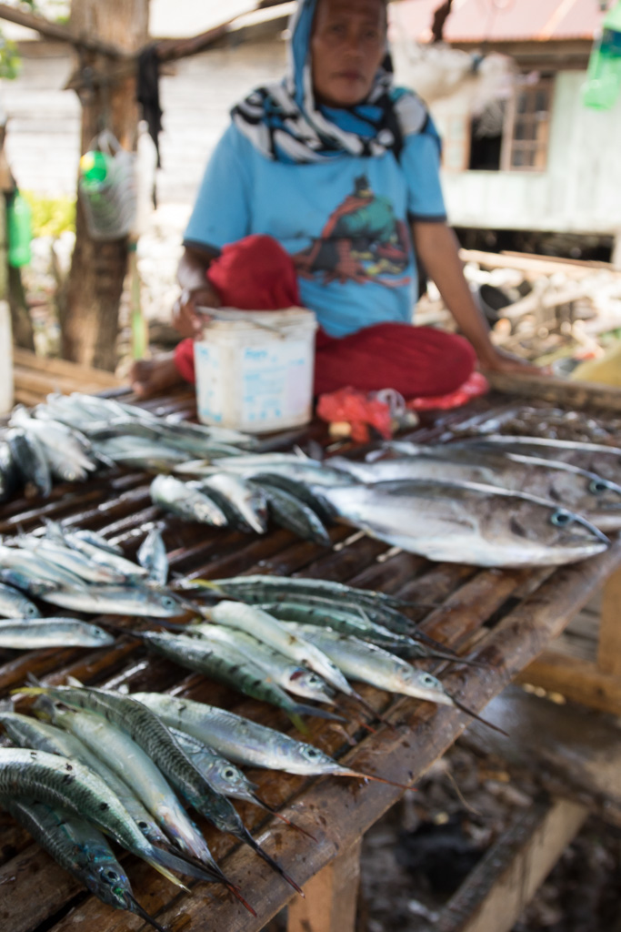 Fisherlady in Indonesia