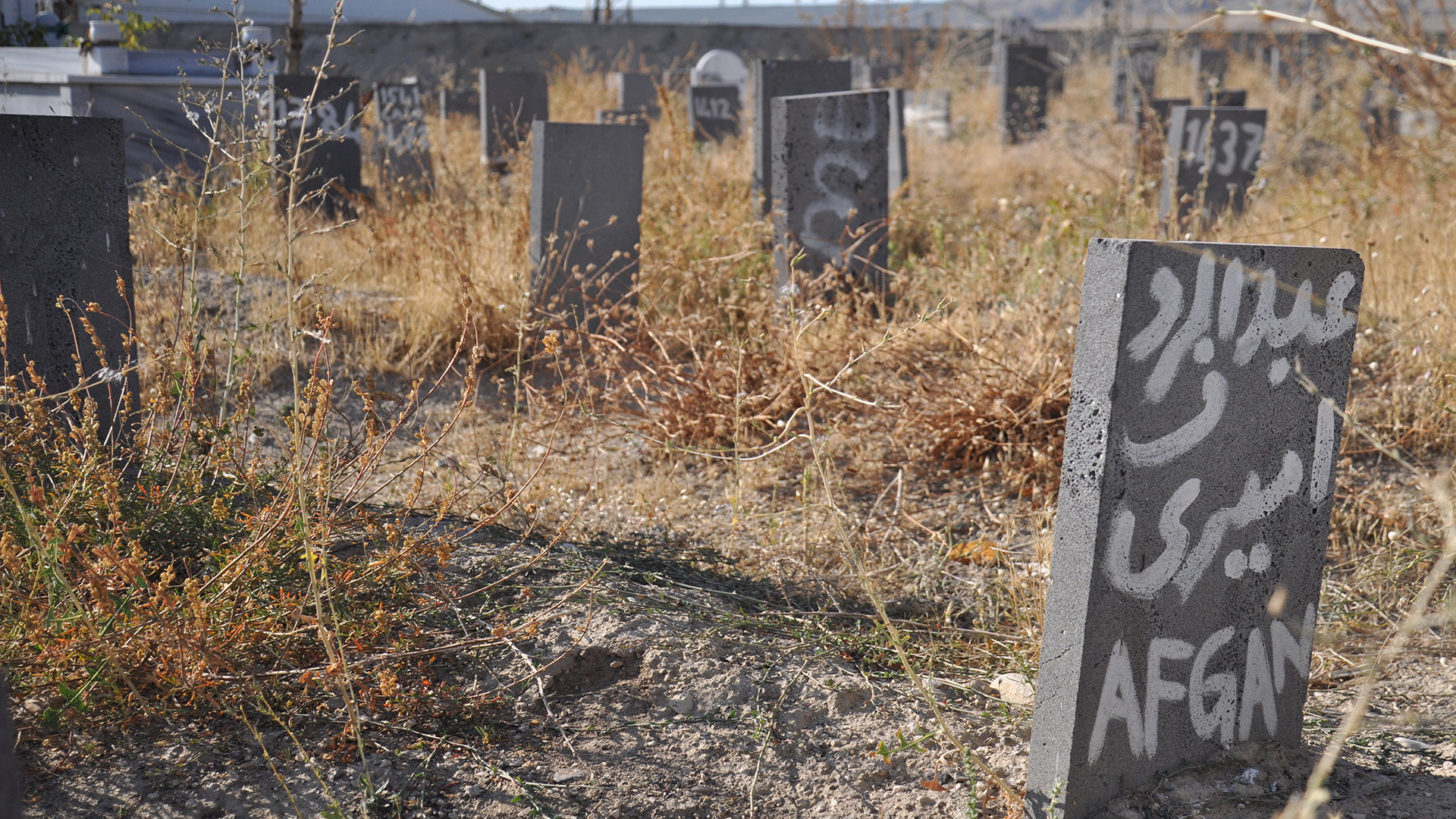 Gravestones at a cemetery in Van which hosts the graves of asylum seekers who died somewhere along their journey. Some of the slabs simply read “Afghan” or “Pakistan”.