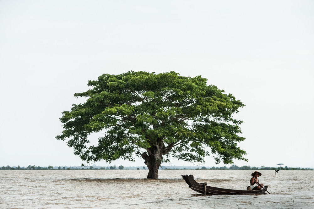 A man in a hat paddles a canoe in a completely submerged scene except for one large tree standing out of the water.