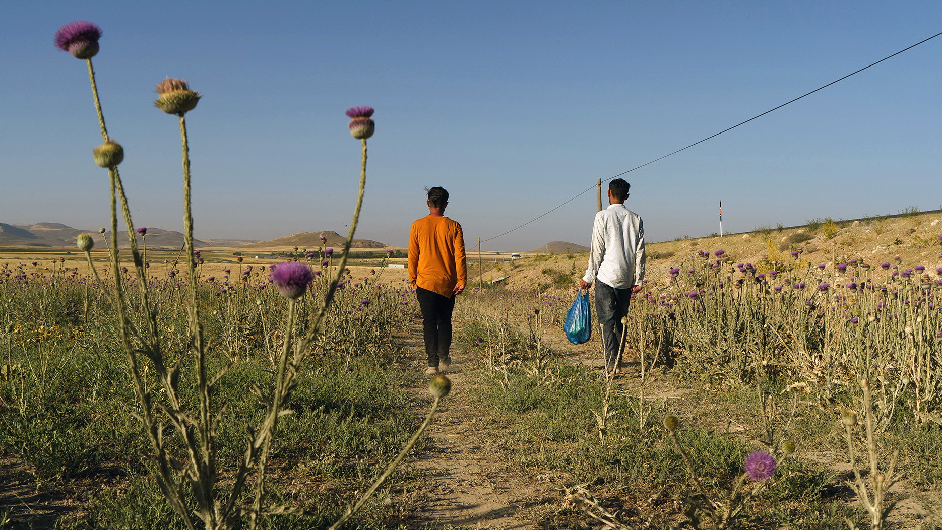 Two men walk in a field with their backs to the camera.