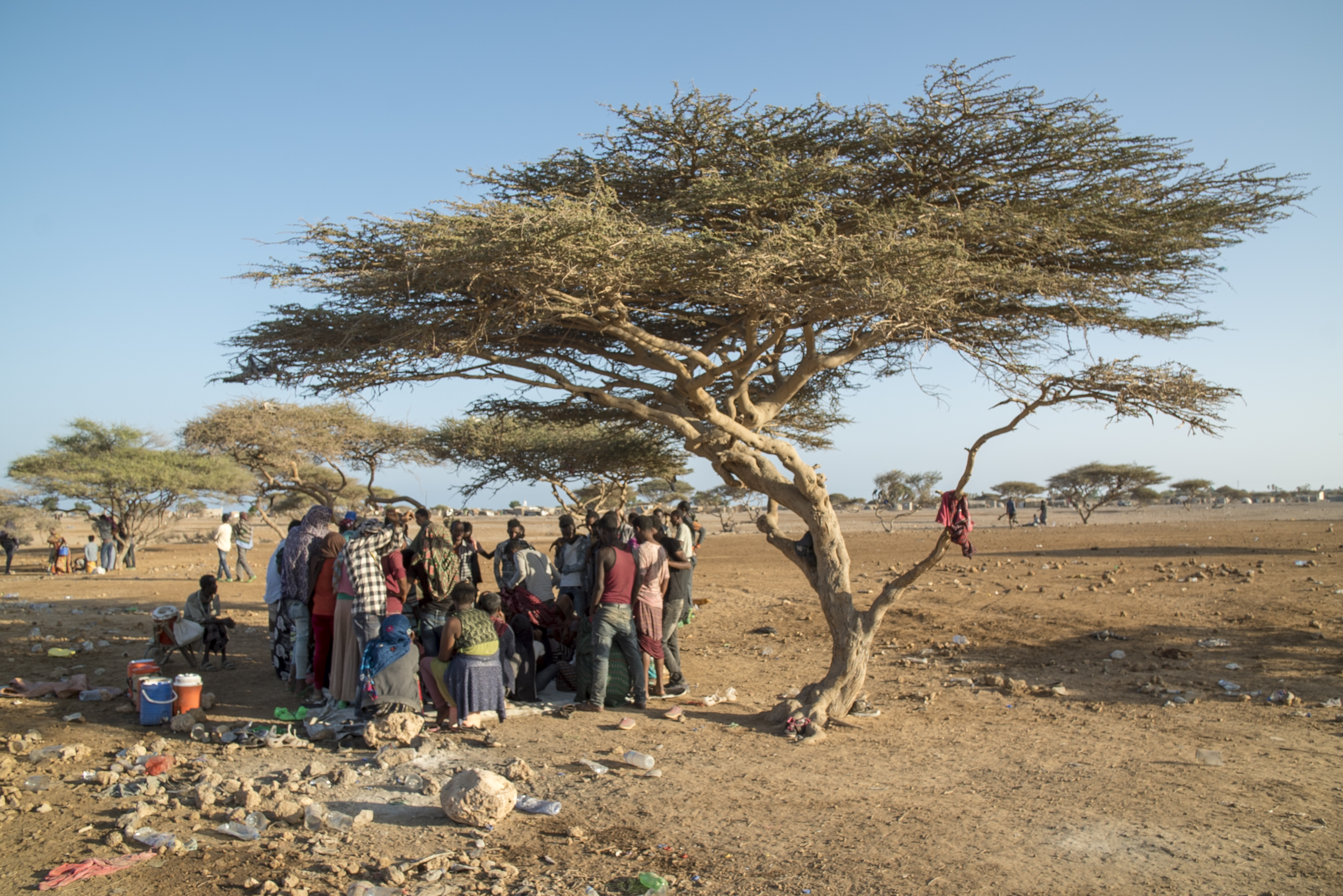 A group of men stand, facing away, in the shade of a tree in an arid landscape outside a settlement