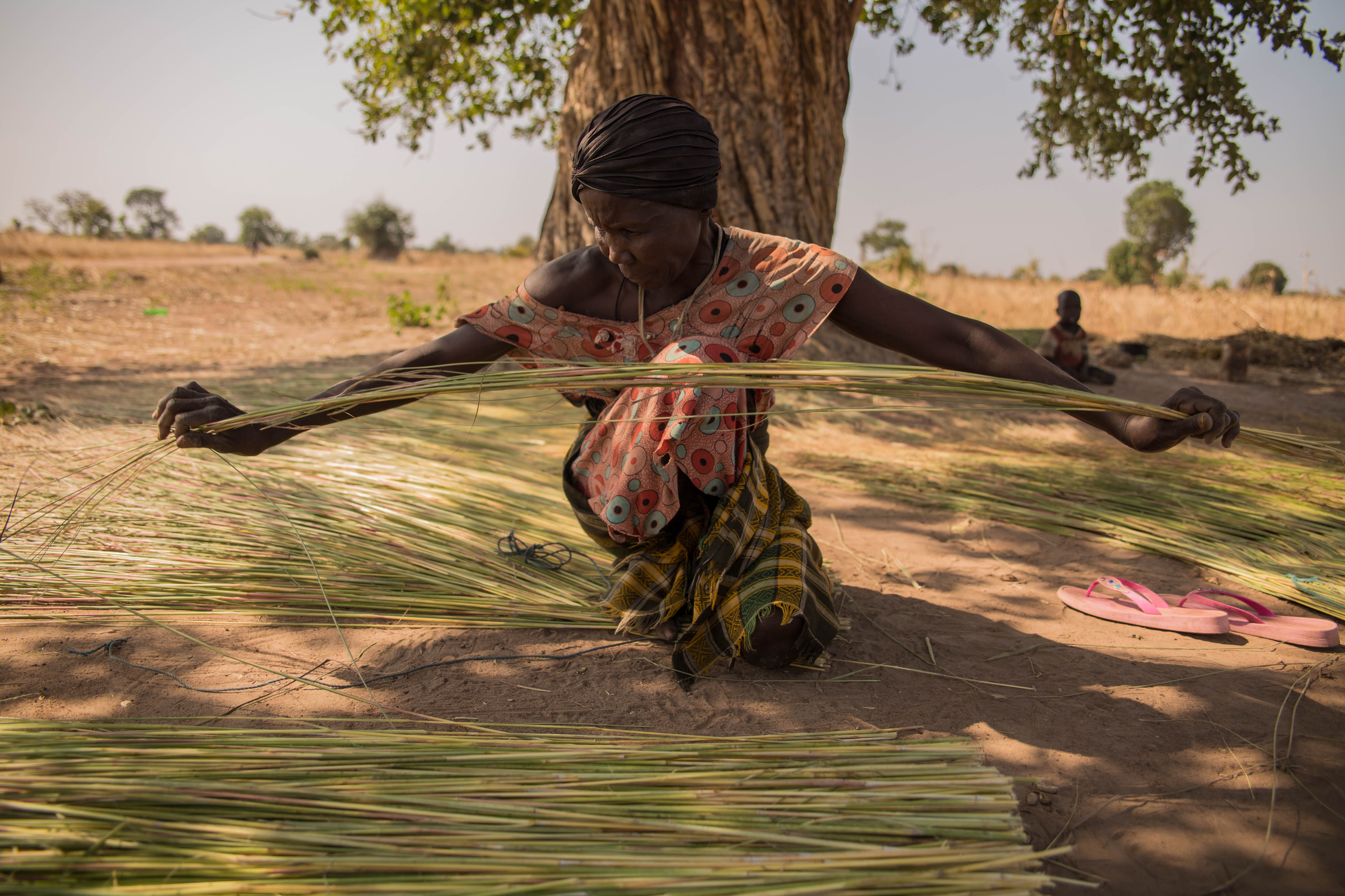 Many women collect high grass and weave it into fences to sell at the market