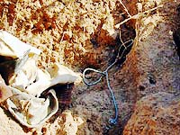Forensic experts describe finding human remains with