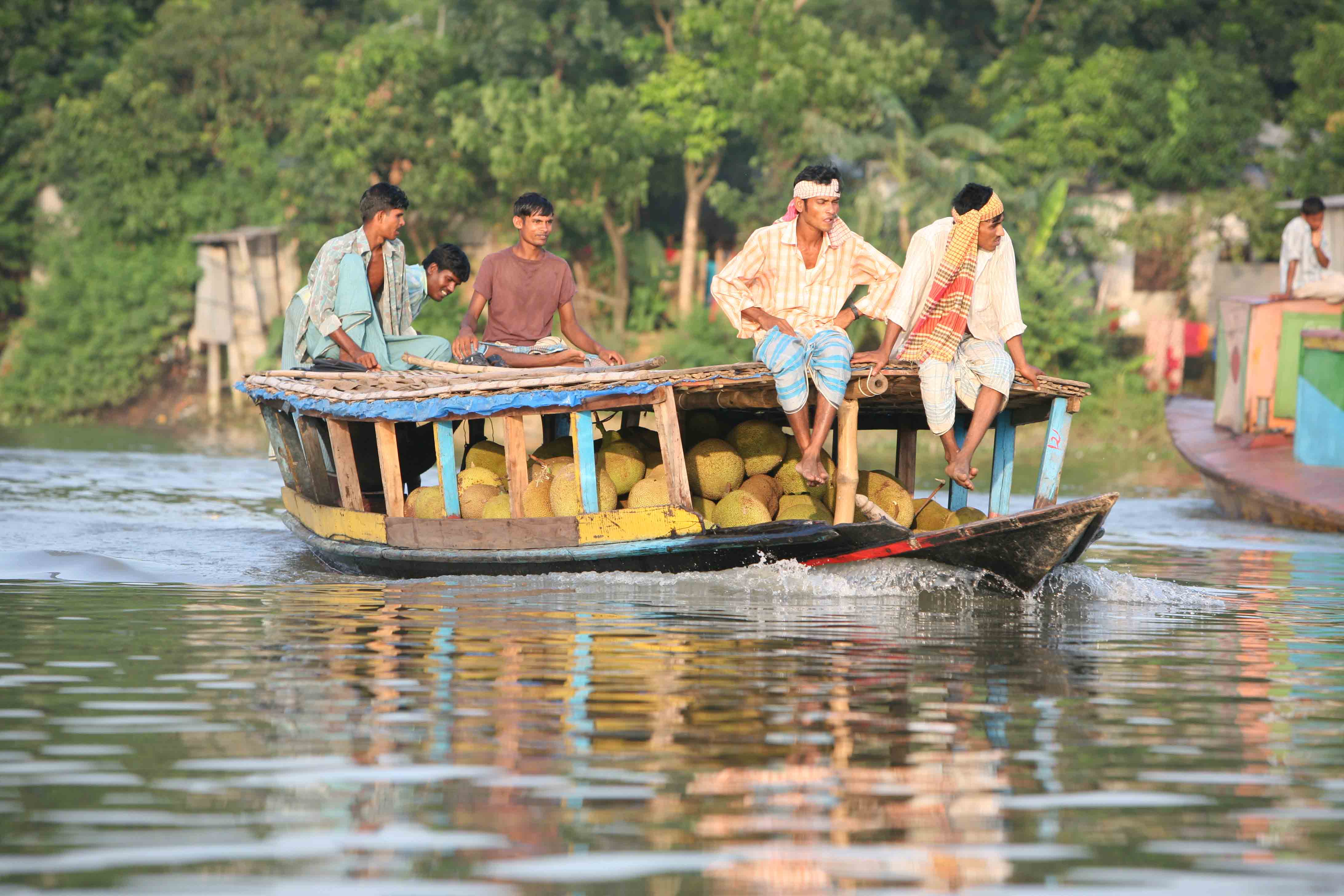 Traders ferry jack fruit across the River Buriganga in Dhaka city, Bangladesh, July 2007. Jack fruit is the national fruit of Bangladesh. It is in abundant supply during the rainy season, but rarely at other times of the year.