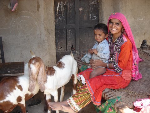 Education remains a key challenge for women in today's Pakistan - paticularly in rural areas.