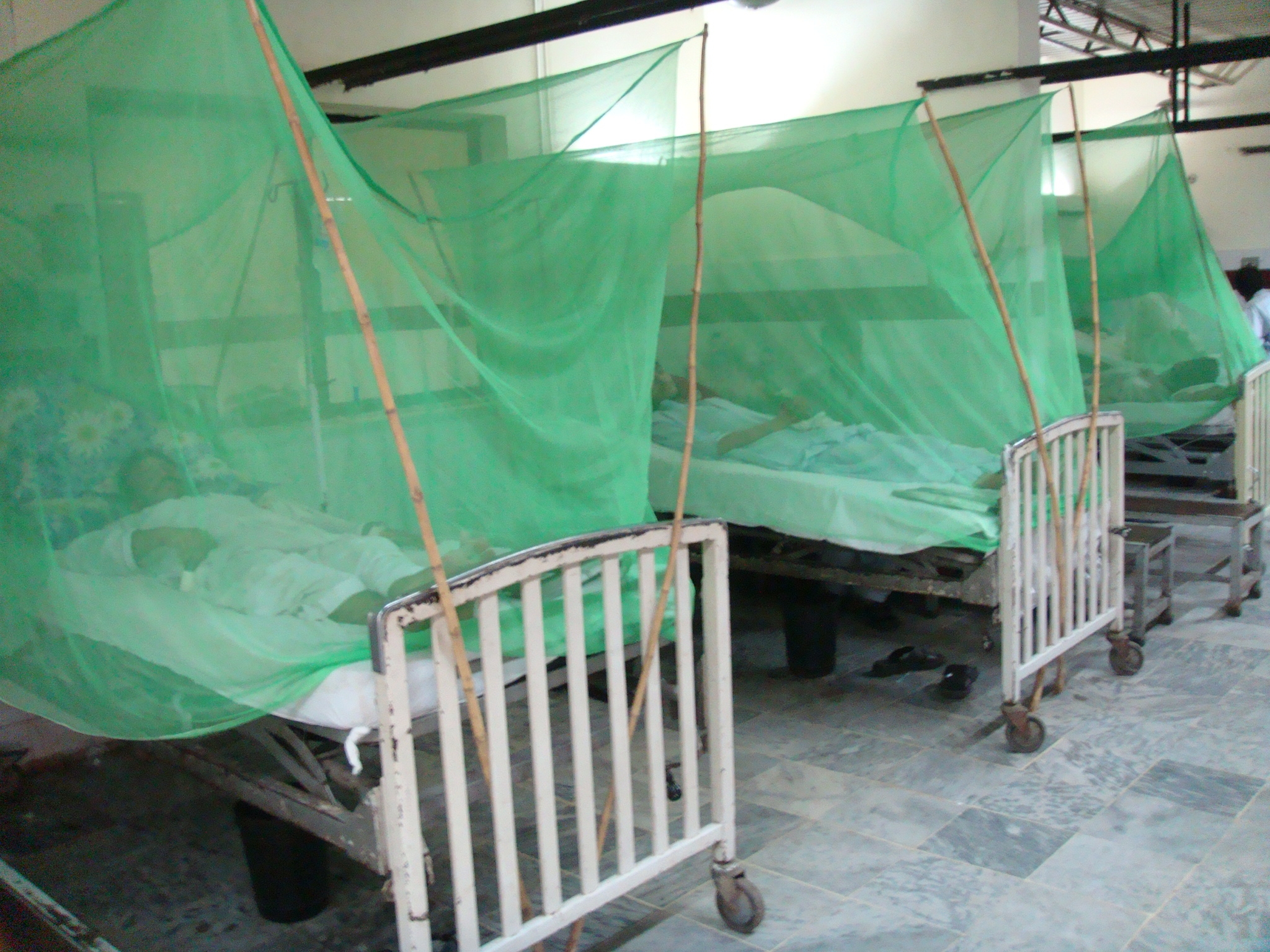 Medicated mosquito nets are important in fighting the dengue fever threat.