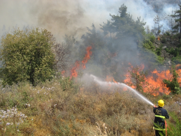 An AFDC volunteer fights fires in Ainab, Mount Lebanon in August 2008.