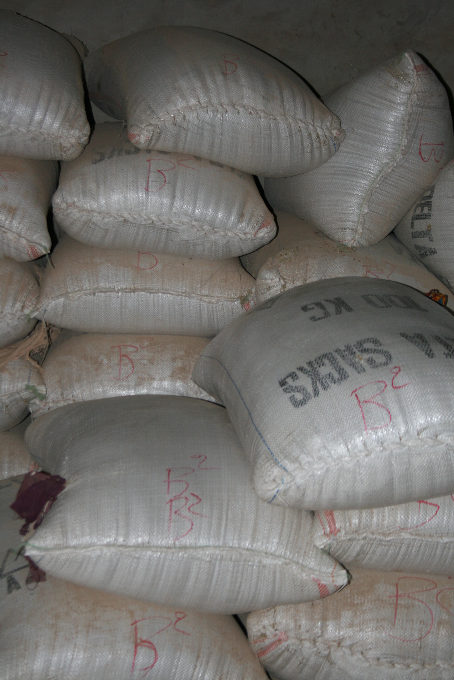 Nigerien cereal bank stock, outside of Zinder, August 2008.