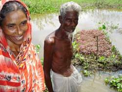 Villagers struggling with waterlogged fields in parts of southern Bangladesh have been growing food on floating islands of paddy straw, water hyacinths and other aquatic plants called bairas