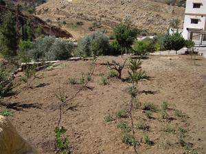 The International Development Research Centre (IDRC) promotes backyard irrigation using grey water in Rachaya Casa, Lebanon