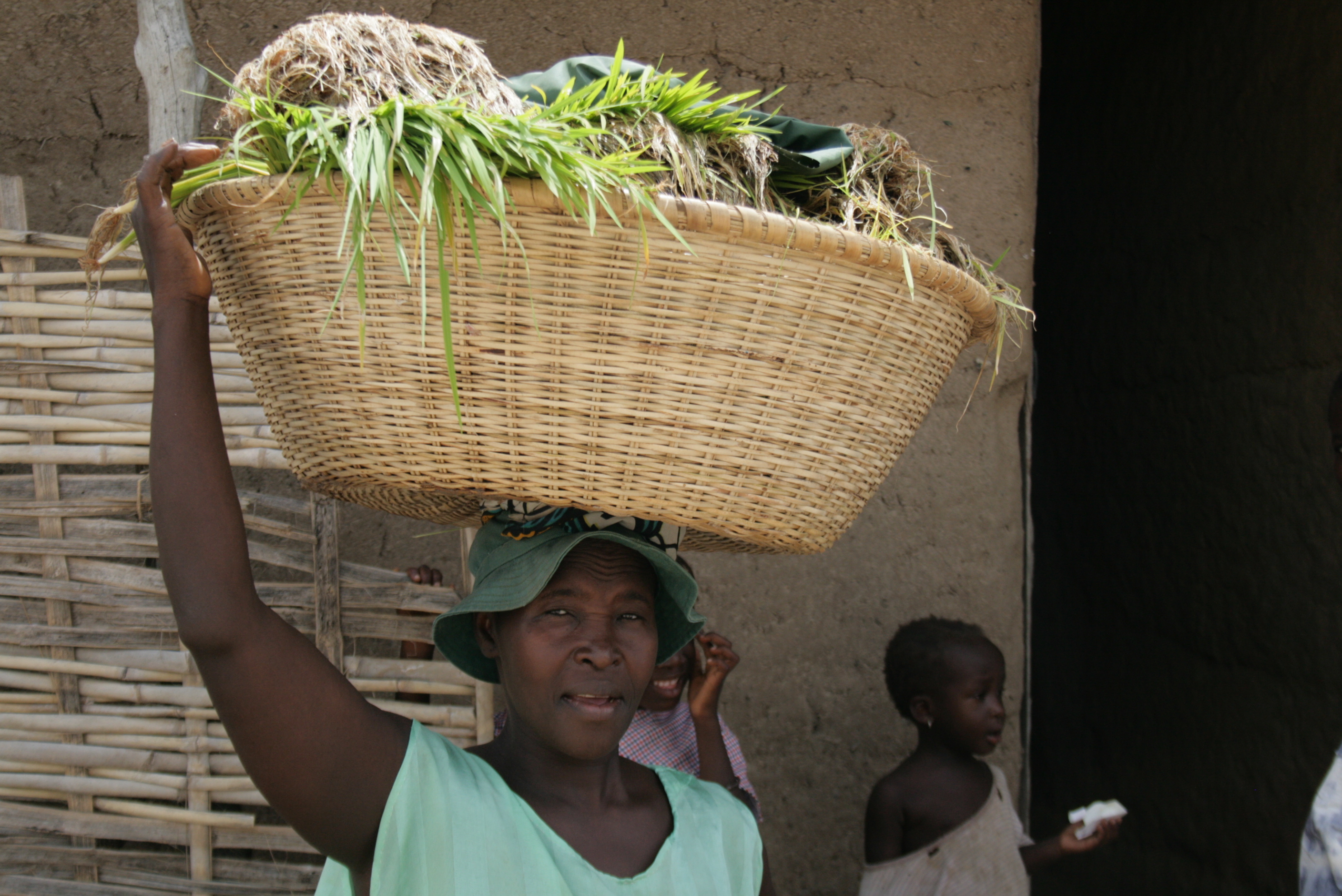 A woman in the village of Etama in Senegal's Casamance region. September 2009