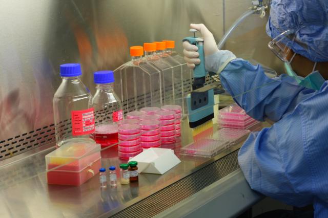Vaccine quality testing by the Division of Biological Products at the Department of Medical Sciences, Ministry of Public Health, Thailand