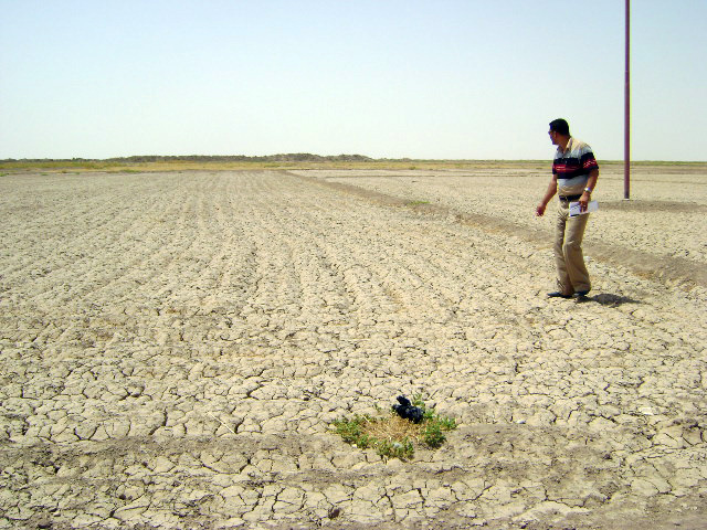 Drought in al-Awaileen Village in Muthanna Governorate. Because of a lack of rainfallf, Iraq had its worst cereal harvest in a decade