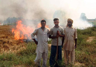 Farmers wake up in the early hours of the morning to burn hay before the government can send officers to spot them