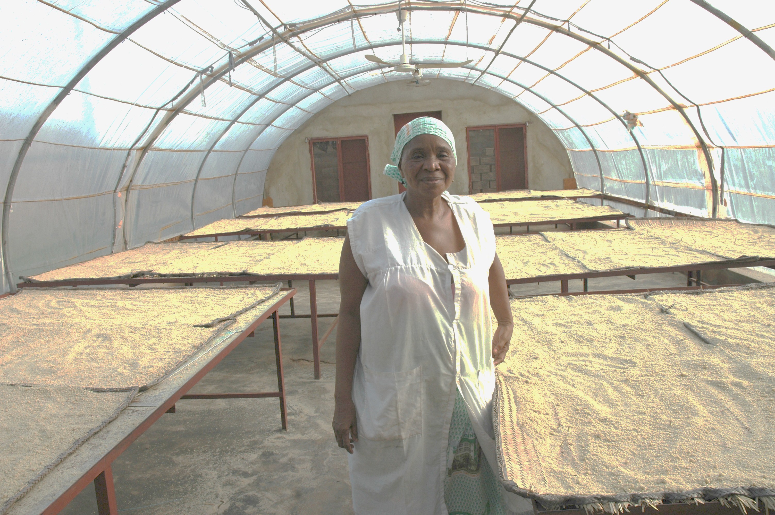 Fonio vendor Mariko Fadima Siby in Bamako, Mali in greenhouse used to dry out fonior before packaging