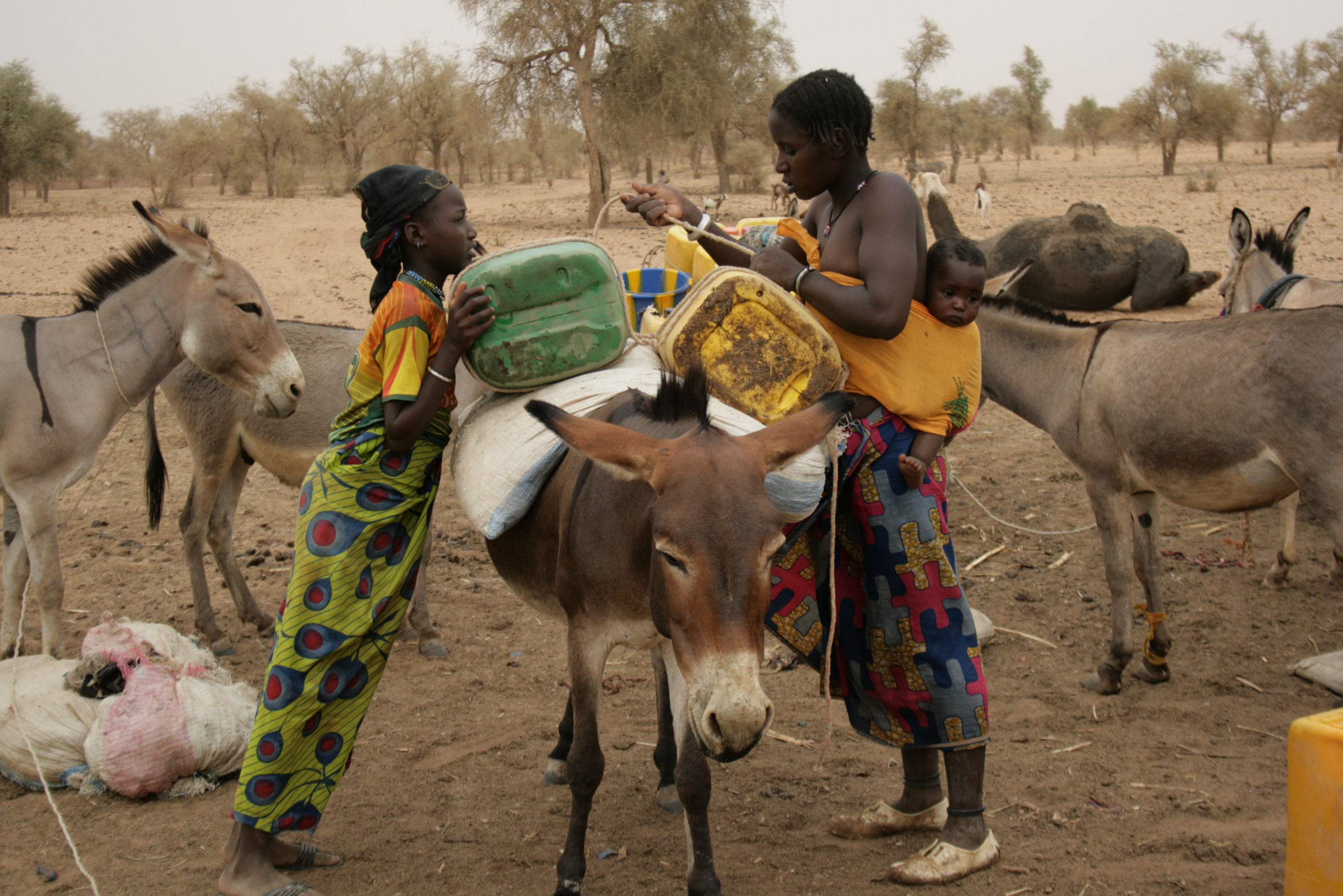 Women attach containers of water to a donkey to transport to their home, several kilometres from a pump. Dori, northeastern Burkina Faso. April 2010