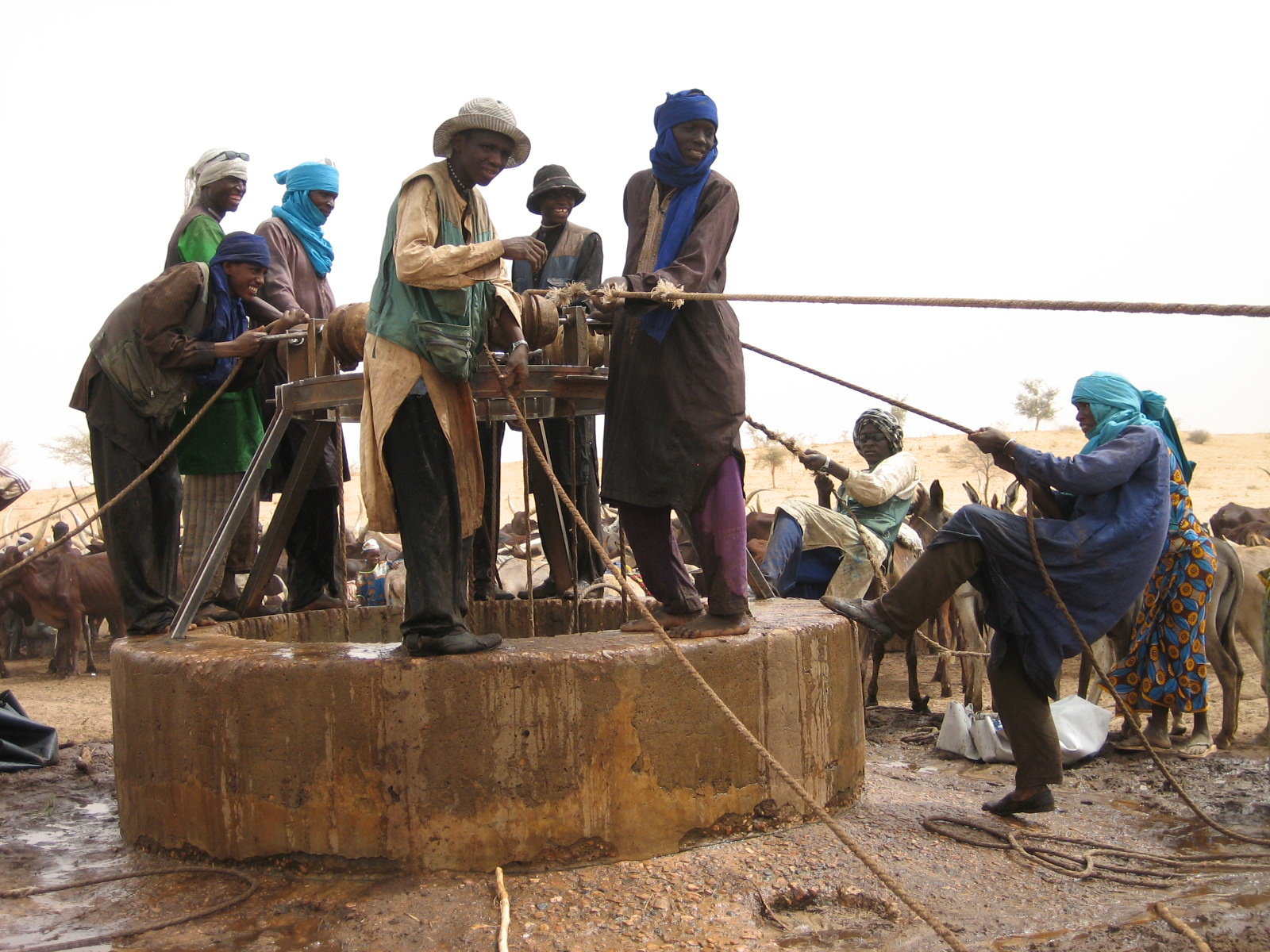 Men drawing water from a deep well in the region of Zinder, Southern Niger. The scarce ressource has to be shared between cattle, population and crops