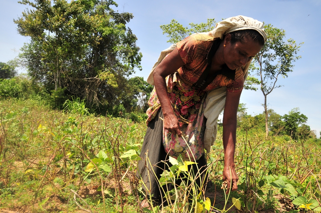 Now that the focus of post-war assistance has shifted to the north, people in the east feel they've been left behind - Sri Lanka