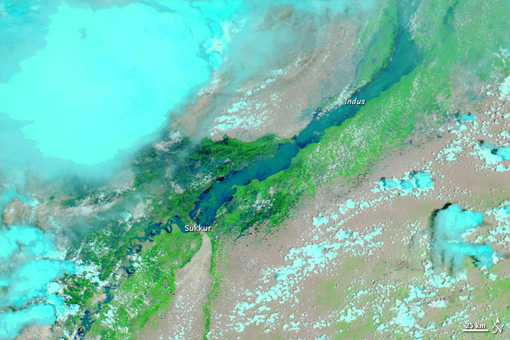 The flooded lower Indus River captured by NASA's Aqua on August 8, 2010