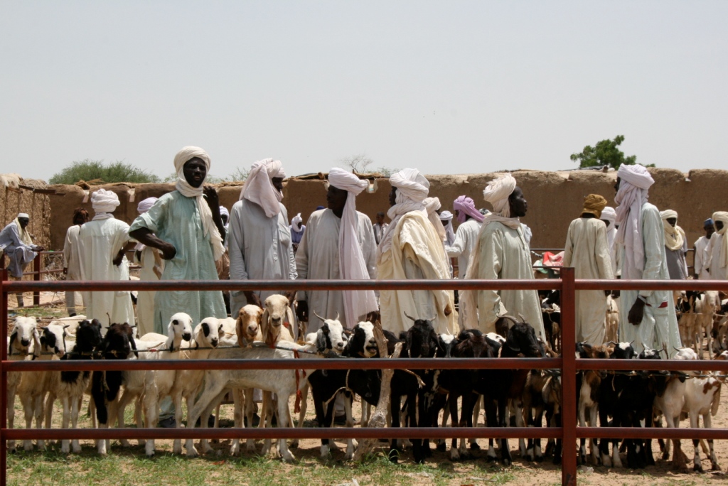 Livestock market in Diffa region, Niger