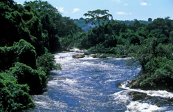 The Nile River, Uganda. The Nile River has become the source of dispute between Egypt and the 10 other countries who share its basin. According to the Nile colonial treaty of 1929, any country south of Egypt needs Egypt’s approval to use the river for i