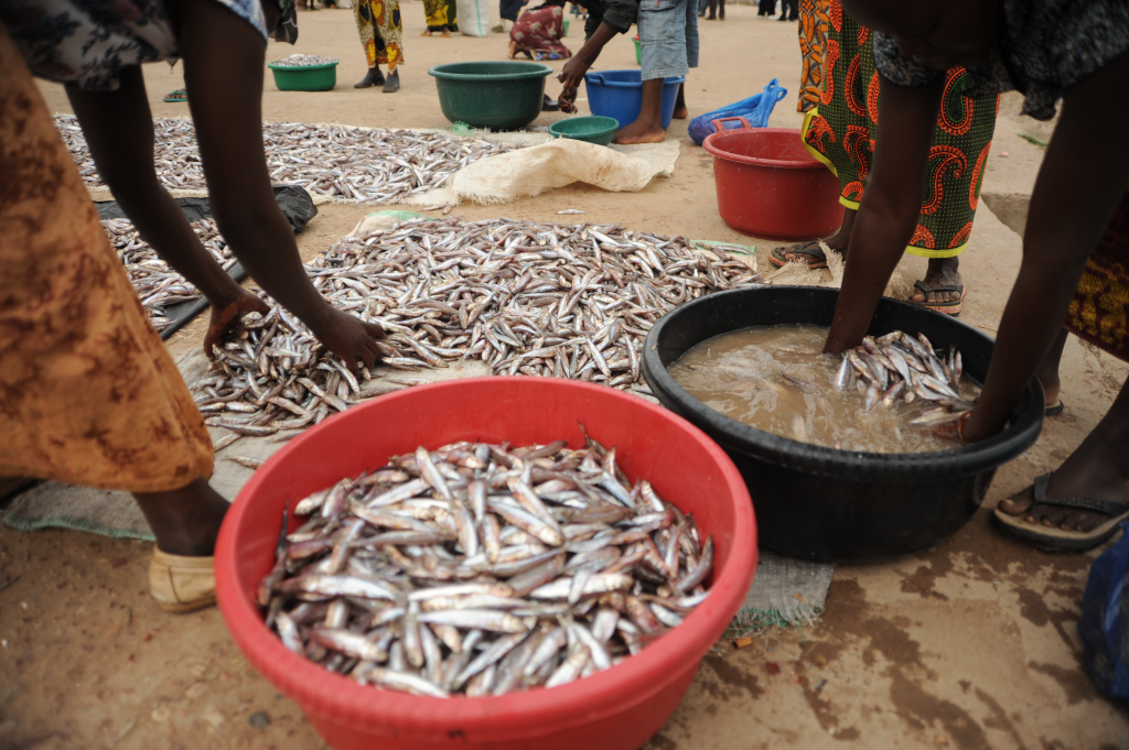 Fish from Lake Tanganyika are washed at a market in the northern Zambian town of Mpulungu