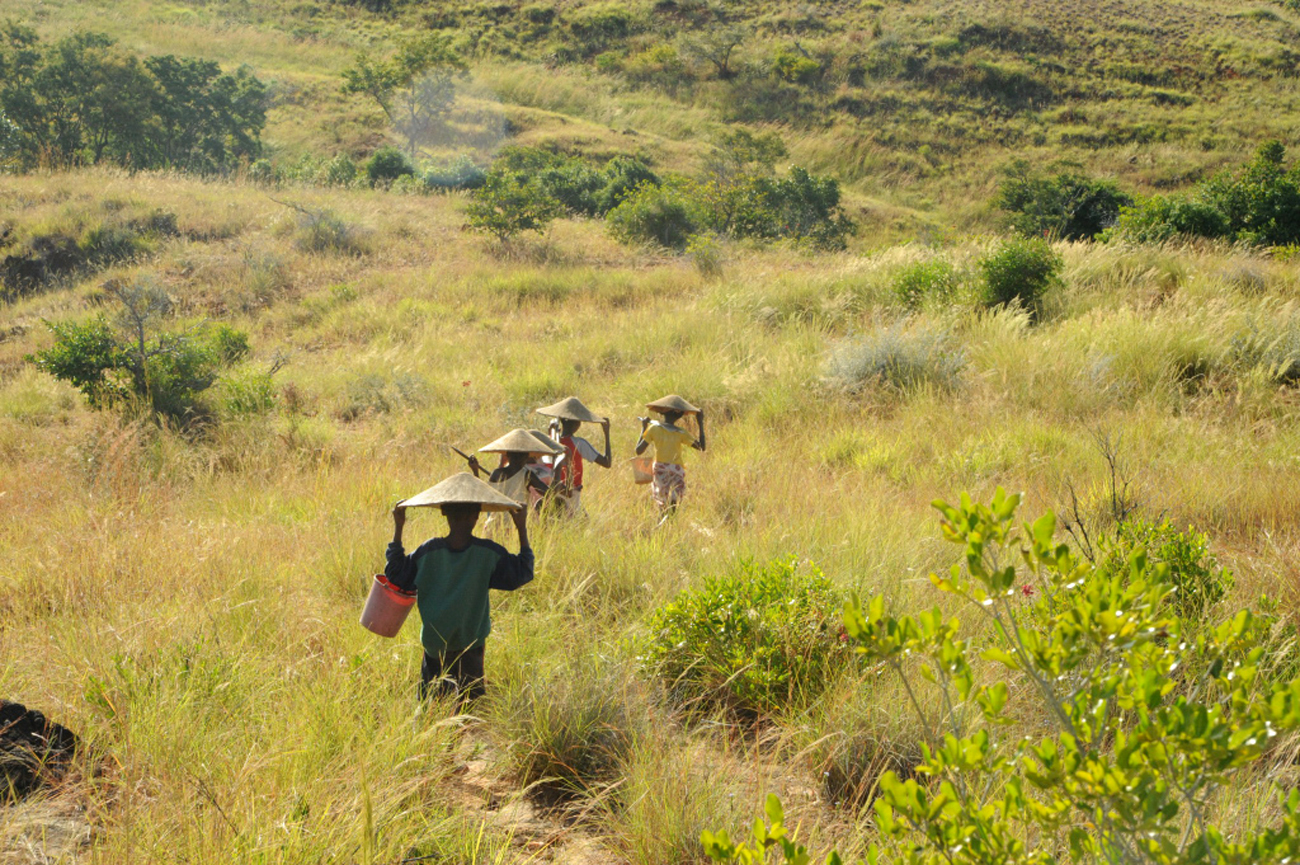 A group of girls aged 8-15 walk two hours into the mountains north of Ankavandra, Madagascar, to pan for gold