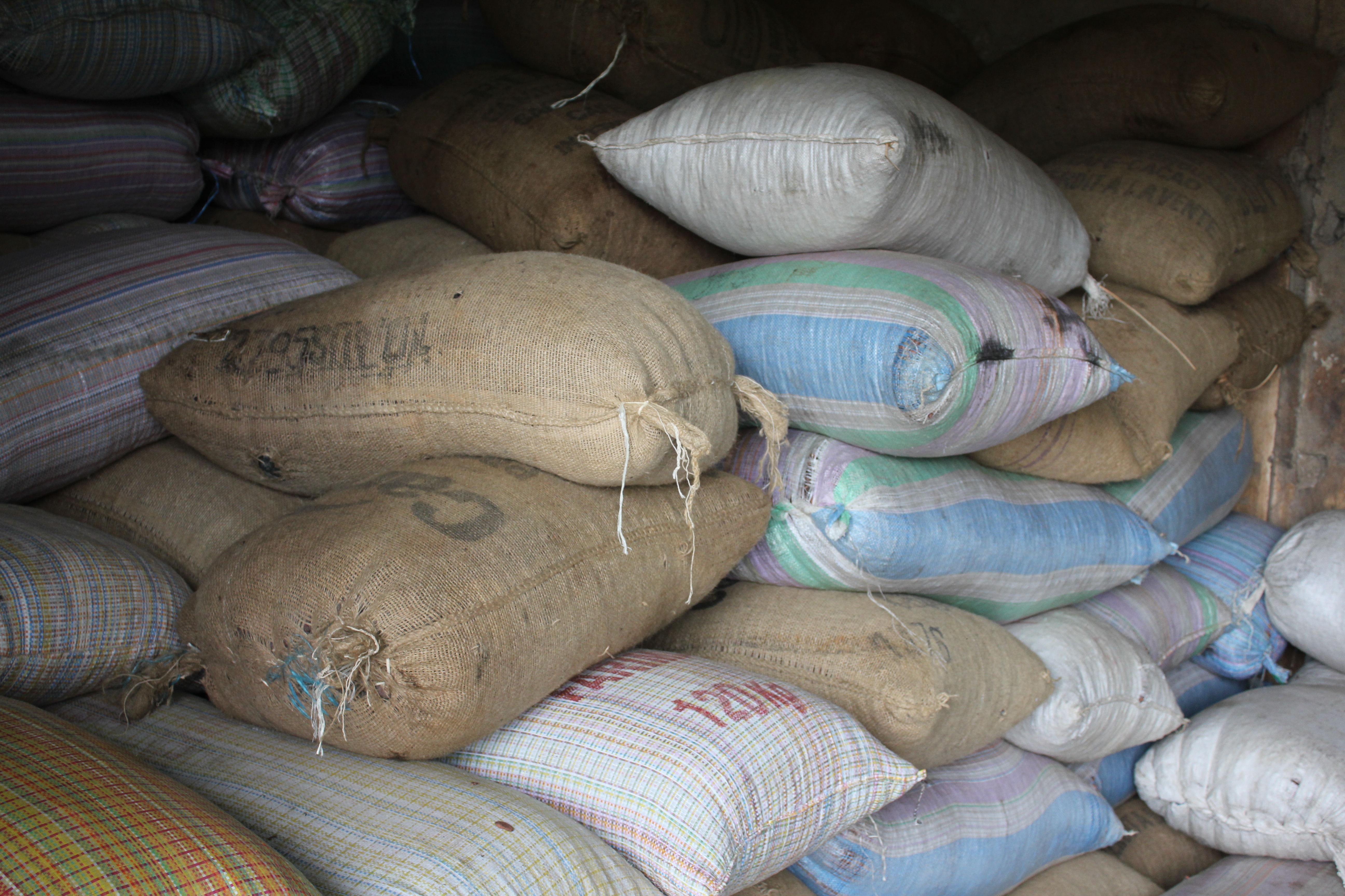Cocoa beans in Sikensi, 100km northwest of Abidjan