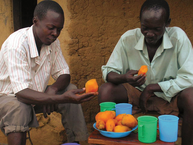 In October 2009, CIP officially launched the Sweetpotato for Profit and Health Initiative (SPHI) in Namulonge, Uganda. SPHI is a 10-year, multi-donor initiative that seeks to reduce child malnutrition and improve smallholder incomes through the effective