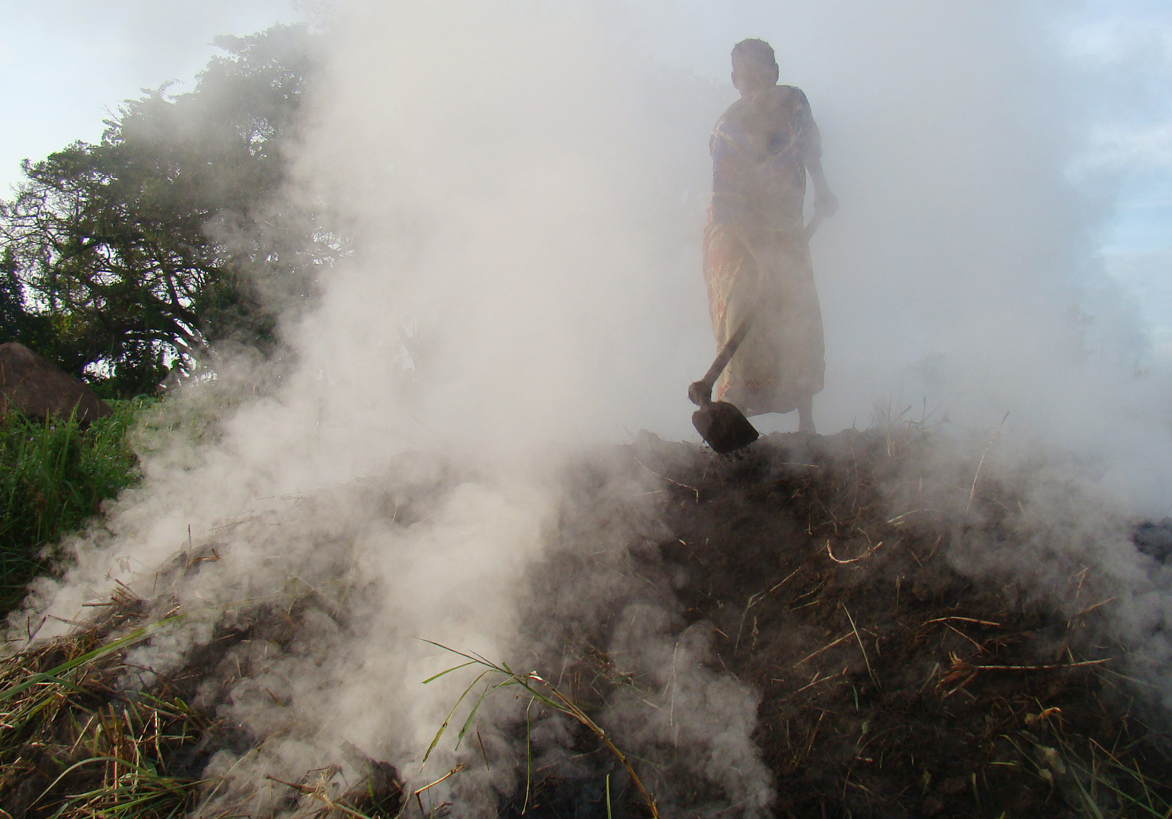 The New Humanitarian Charcoal boom a bust for forests
