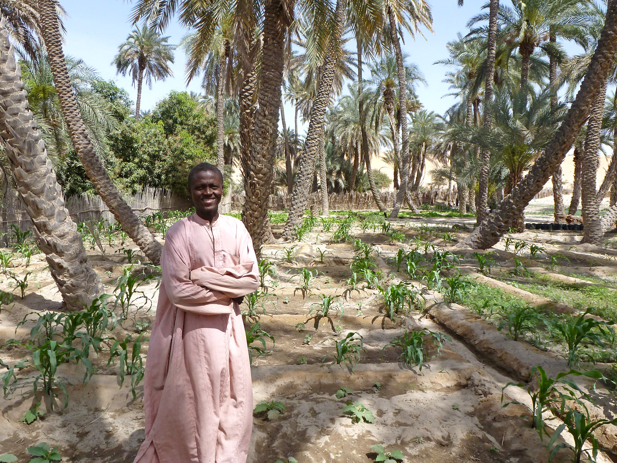 Minder Mohamed Ali guards fields of crops grown in Aloum 2 wadi, 8km from Mao, in Kanem region of western Chad. FAO and ECHO are helping villagers to access wadis – traditionally owned by the aristocracy – to grow vegetables in a bid to help reduce fo