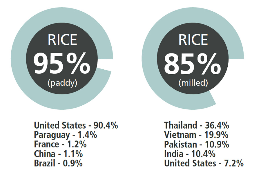 A few countries produce the bulk of the world's staple grains: Major exporters’ shares of rice exports, 2008