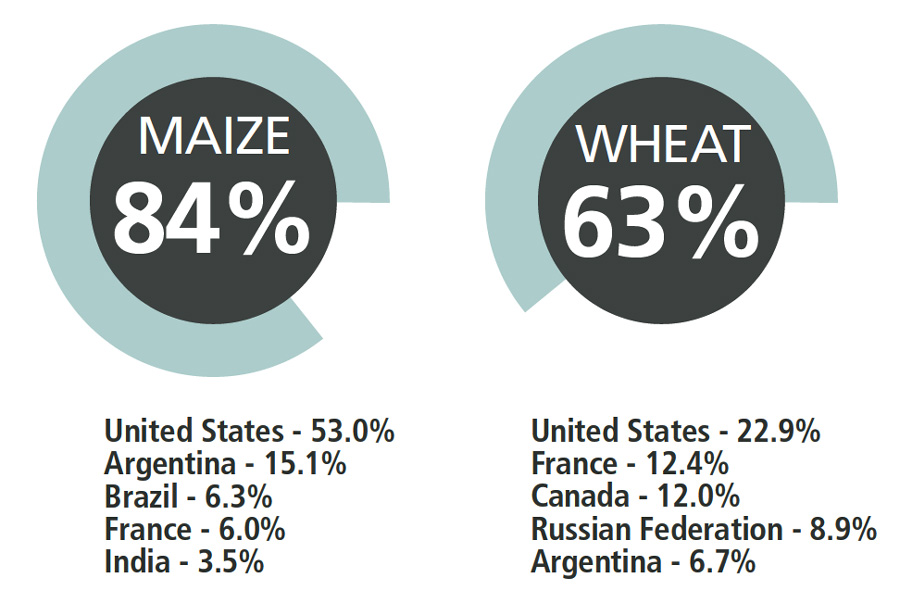 A few countries produce the bulk of the world's staple cereals: Major exporters’ shares of global maize and wheat exports, 2008