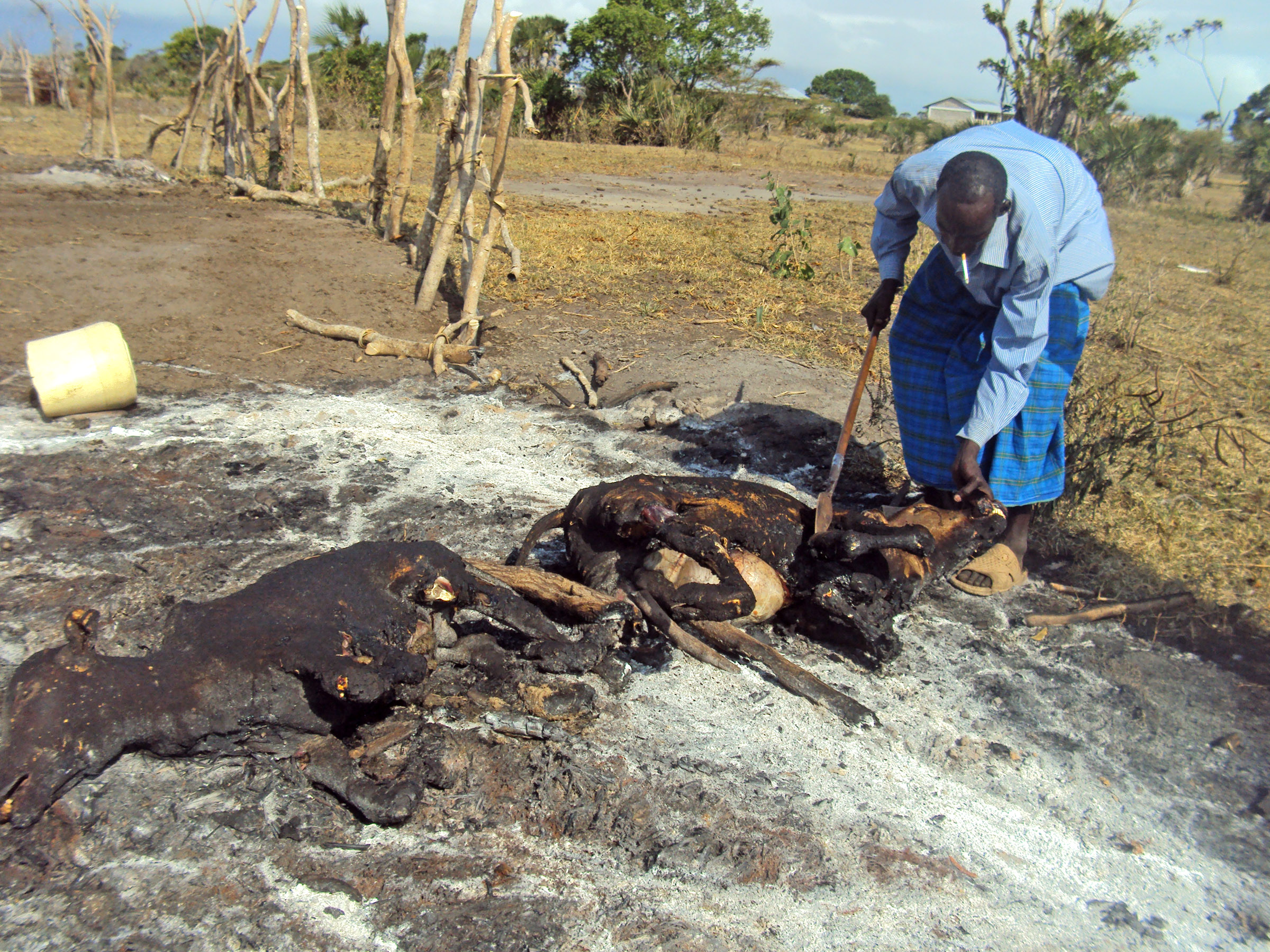 About a month of ethno-political violence in Coast Province's Tana River County has led to the deaths of over 100 people, the displacement of thousands others and the destruction of livelihoods