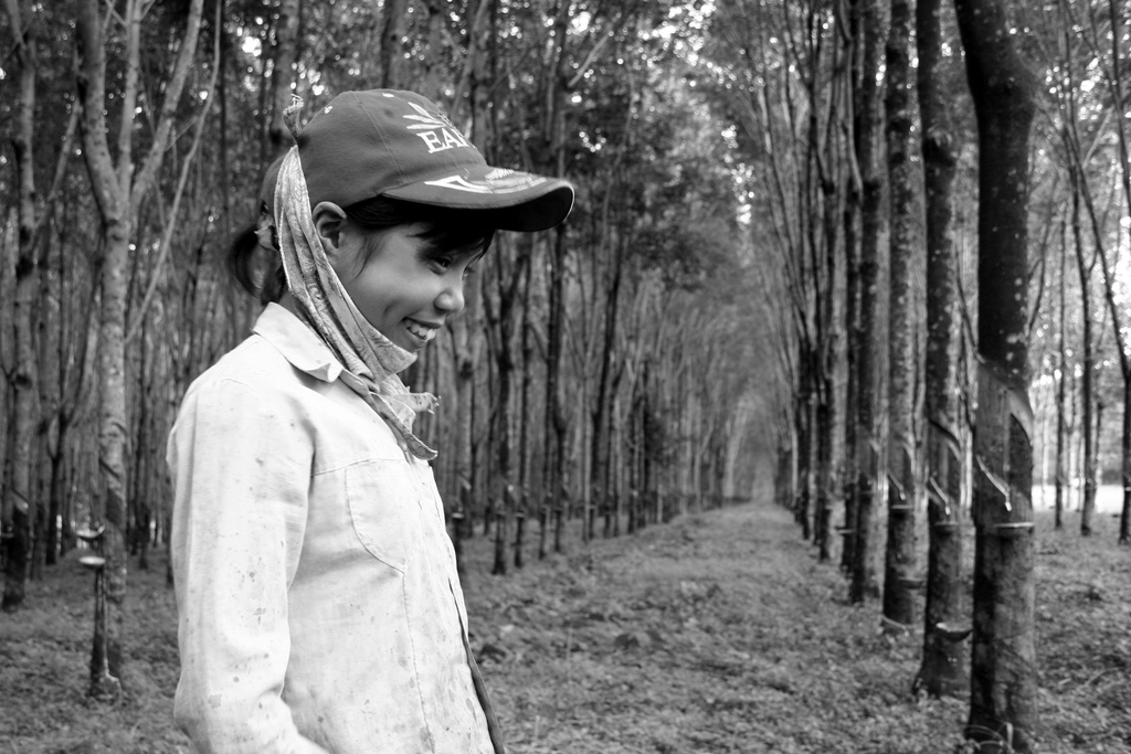 Rubber tree plantation worker in Central Highlands. Migrants are potential carriers of anti-malaria drug resistance in Vietnam