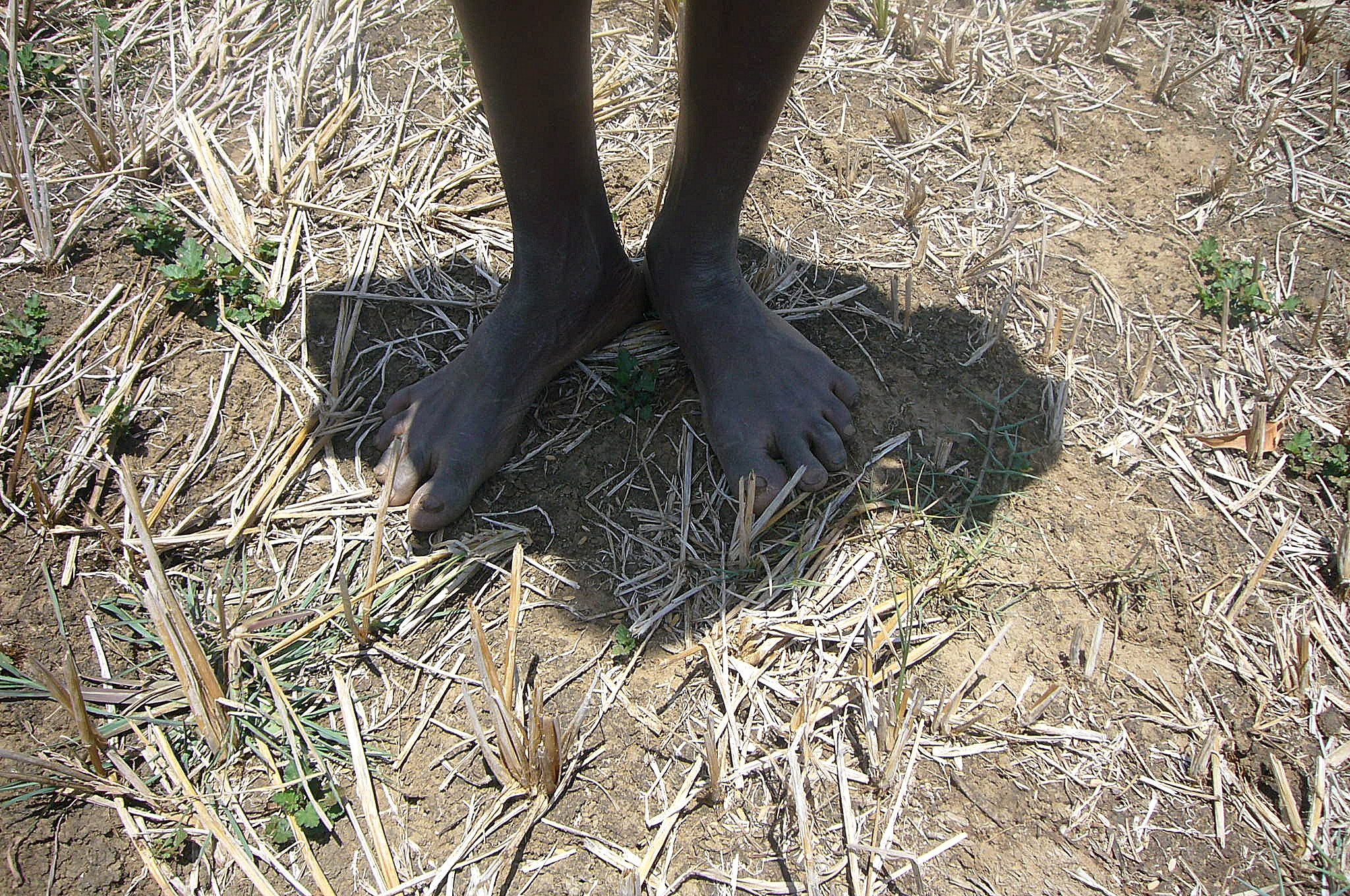 A 10-month-long drought left the Northern and Eastern regions of Sri Lanka parched earlier this year