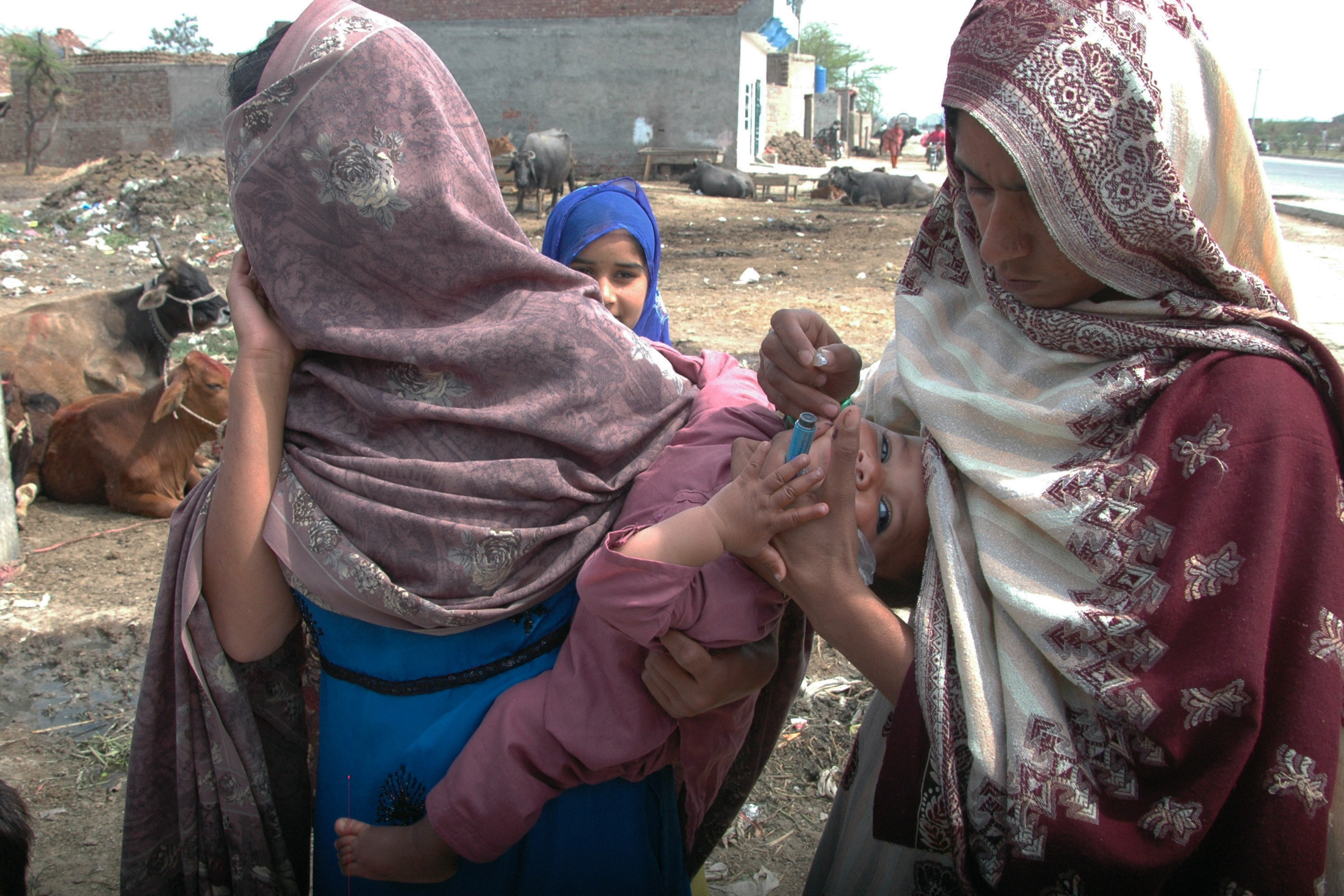 A polio worker on the outskirts of Peshawar in Pakistan delivers vaccine drops, but many workers are now too scared to go into the field.