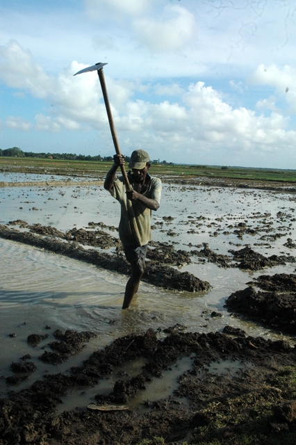 A farmer in the South Eastern Digamadulla District repairs a flood-damaged earth embankment