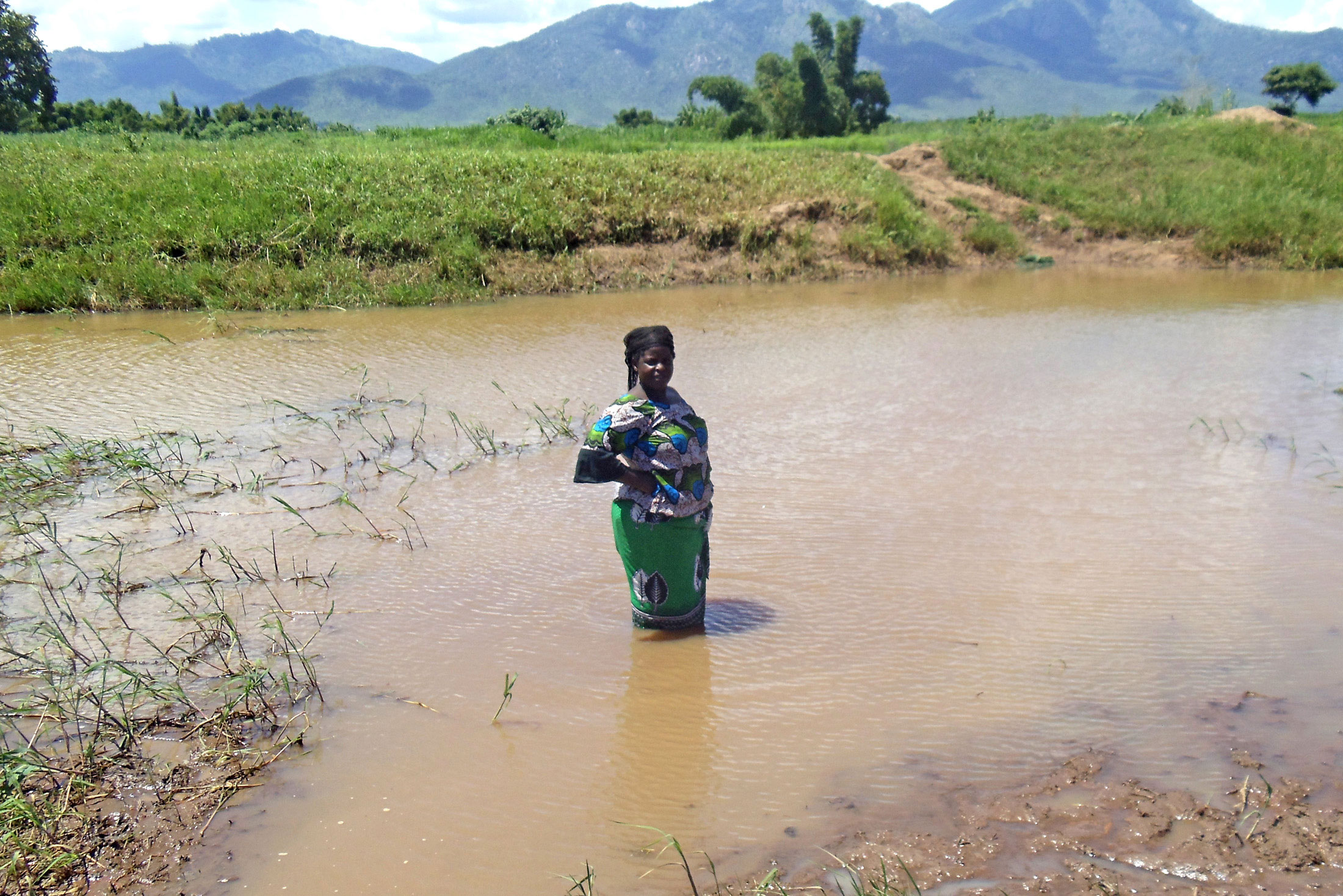 A woman wades through flood waters in southern Malawi's Mulanje District