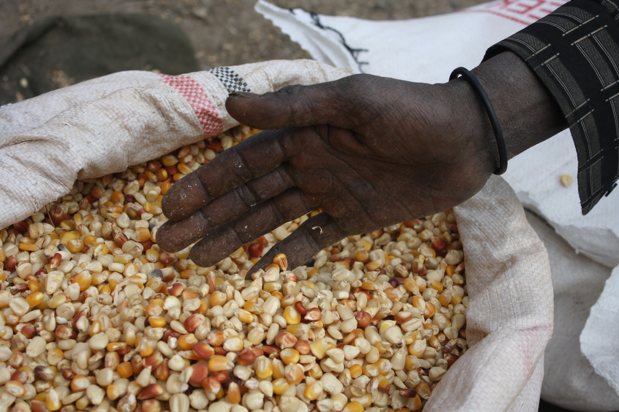 A seller runs his hand through his stock of maize at Ihil Berenda, the wholesale grain market in Addis Ababa, Ethiopia