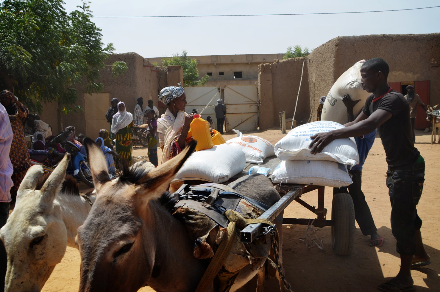 The Malian Red Cross distrbutes food to 600 households in Gao's Chateau neighbourhood in march 2013. Food distributions include rice, flour, salt and cooking oil
