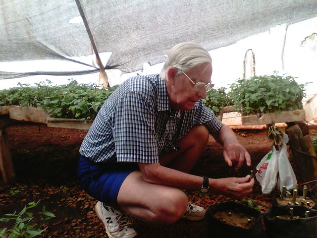 Dr Ian Robertson holds a sample of a tissue cultured cassava