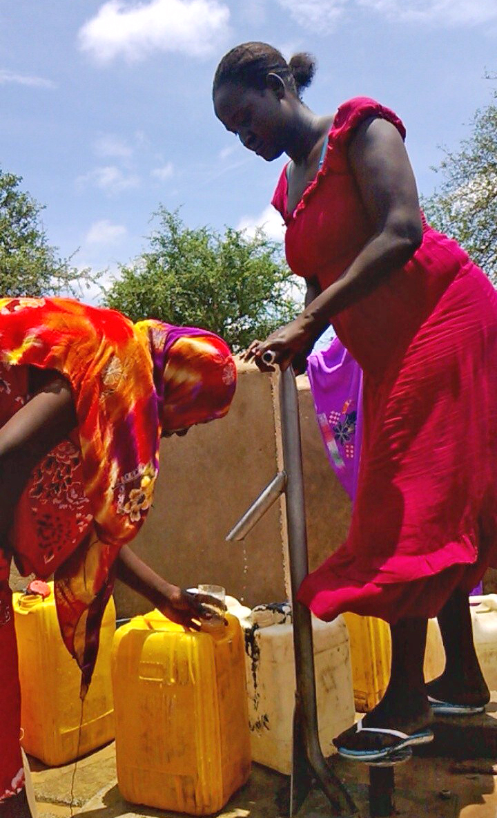 Women fetch water at a borehole in Tissi centre. Access to potable water remains a major challenge in Tissi with diarrheal diseases among the leading causes of morbidity. Tissi is located in a remote region in southeastern Chad close to the Central Africa