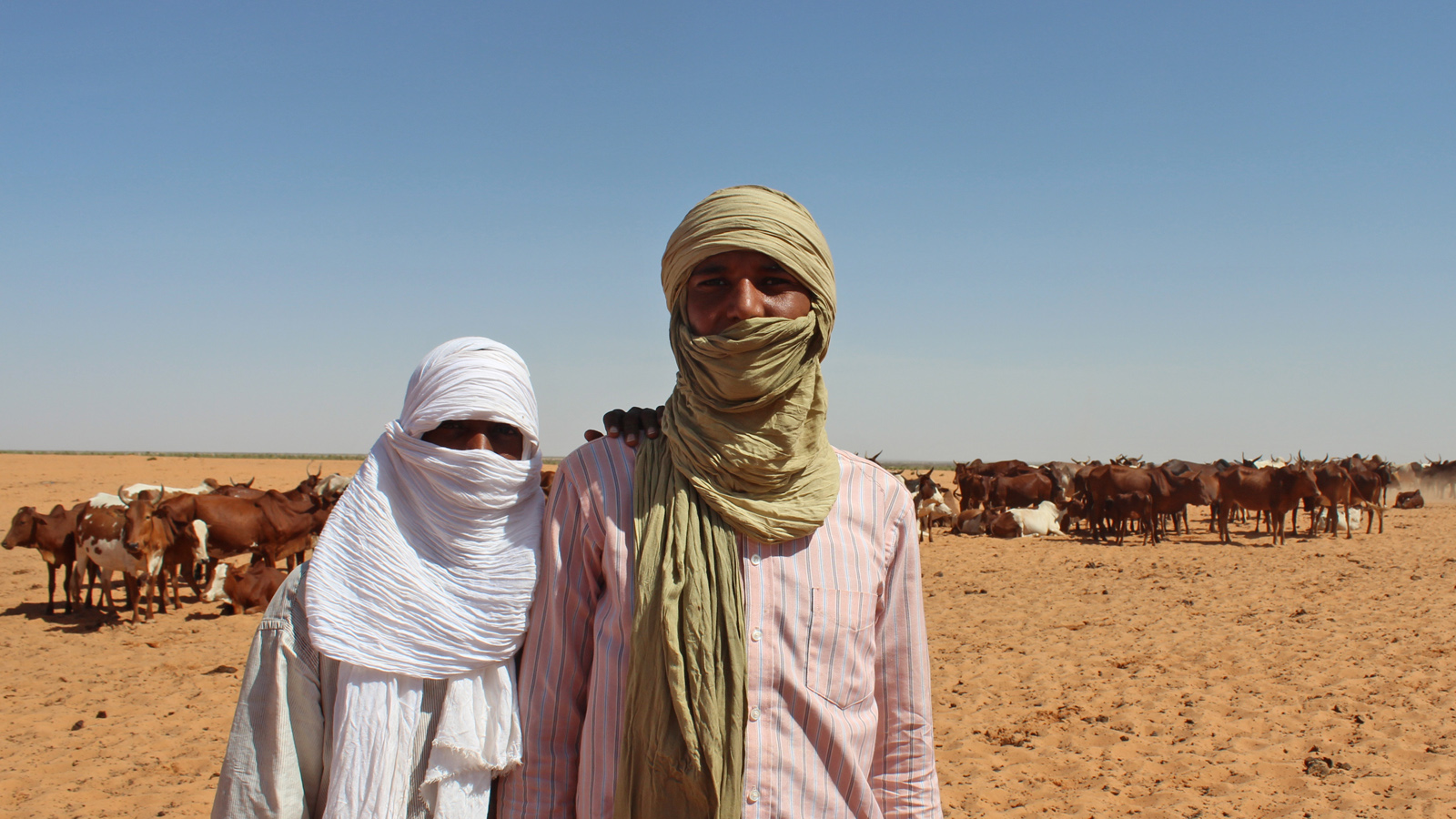 Young herders said it was too dangerous to access pasture in Mali. Young herders wait to give their animals water in Mbera refugee camp in eastern Mauritania.