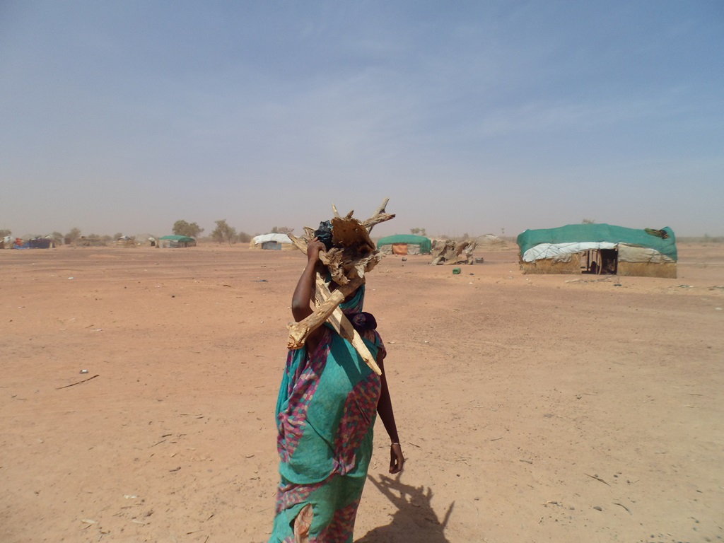 Fetching firewood at the Mentao camp in northern Burkina Faso. Many Malian refugees at Mentao complain of poor quality of life that is forcing some to return home, where they say security and political problems persist