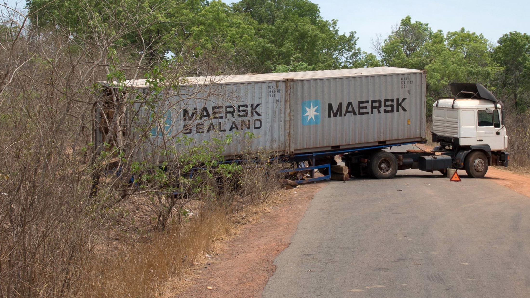 Environmental activists say that loggers are illegally exporting the African rosewood from Guinea-Bissau’s forests to China. A container of rosewood can fetch up to US $18,000, they say.