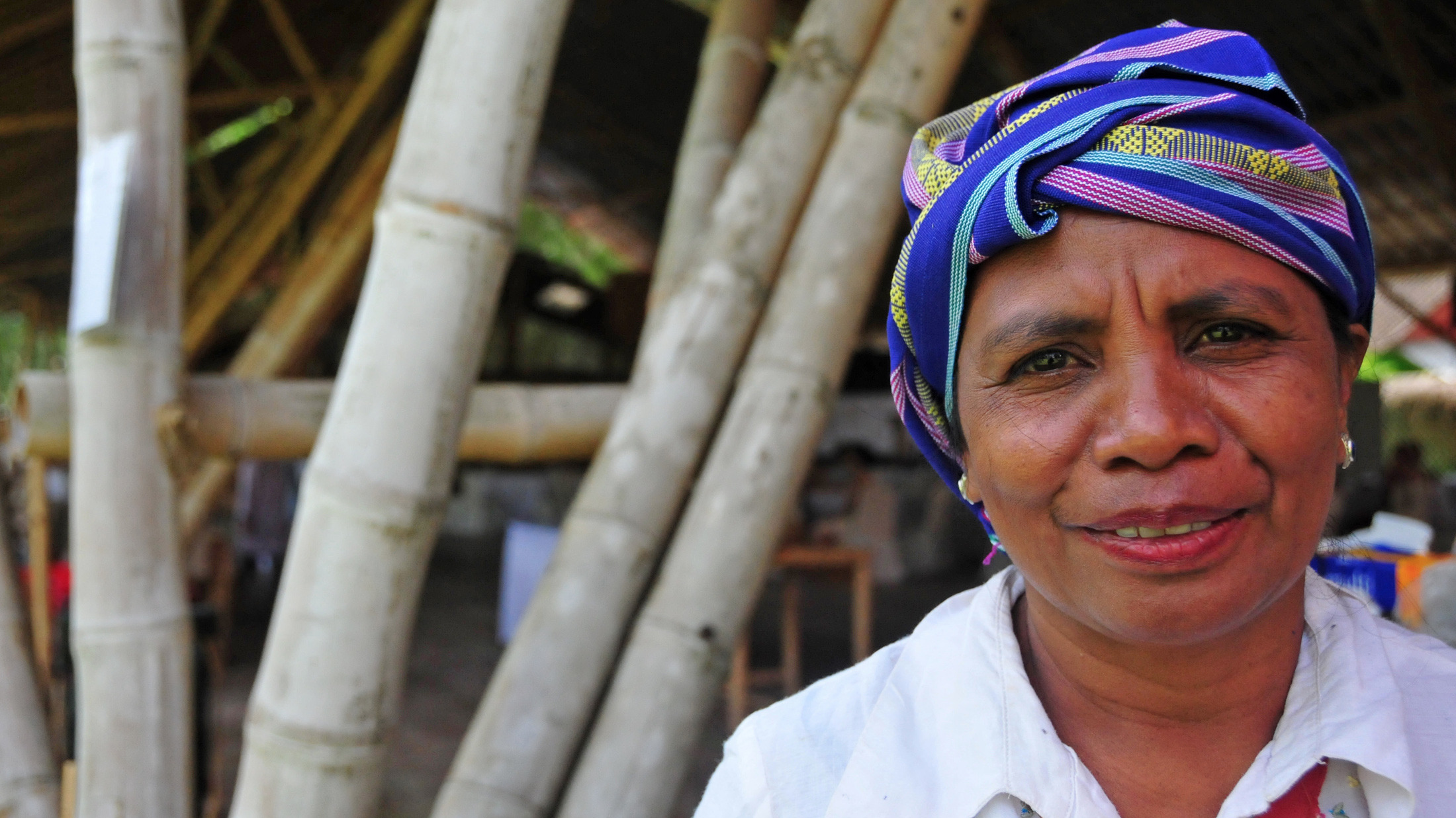 Aleta Baun, the Indonesian environmental activist was once waylaid by a group of men who later debated whether to kill her or rape her.